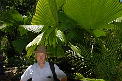0224 Cairns Botanic Gardens